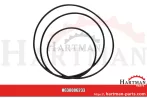 Oring do sprzęgła turbo X549046900000