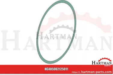 Oring ..OR0020125011