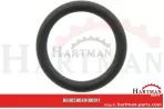 Oring ..OR0040100011