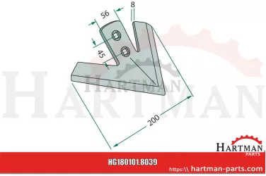 Gęsiostopka promień - 300