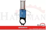 Zasuwa Watergates PD-WEG DN 250 pneumatyczna, dwustronnego działania W