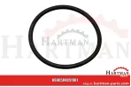 Oring Ø 51 x 3,5 mm