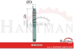 Pompa studzienna Rovatti 1 1/4", typ 4ES6/9-41M