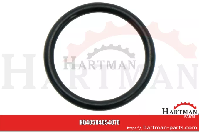 Oring 24 x 3 mm