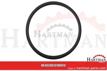 Oring ..OR0700250004