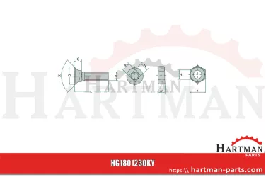 Pflugschraube M16x2x40-10.9 3016147