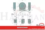 Drehgelenk 8'', ohne Hydraulikmotor ARZO0705200000