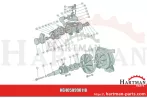 Nakrętka M24 x 2, MEC 4000 M, MEC 5000 M 5050300001