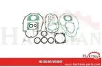 Zestaw uszczelek DL 150, DL 180 18920008E0