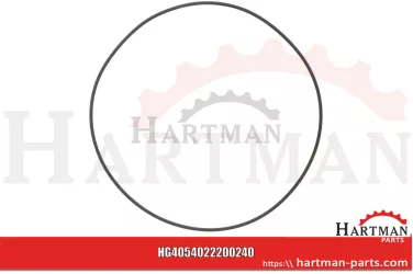 Oring 205 x 3,5 4022200240