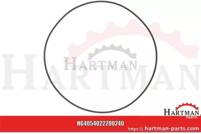 Oring 205 x 3,5 4022200240