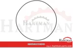 Oring 205 x 3,5 4022200240