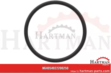 Oring 72 x 5,5 mm 4022200250