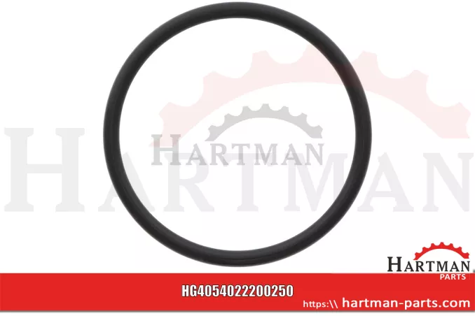 Oring 72 x 5,5 mm 4022200250