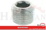 Czop G 1/8" 4026910601