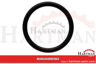 Oring pasuje do BE EVO 4440001066