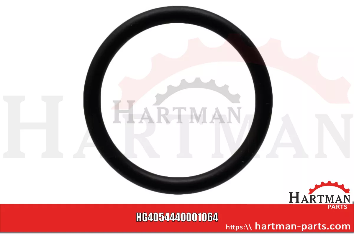 Oring pasuje do BE EVO 4440001066