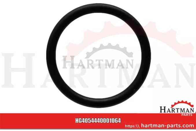 Oring pasuje do BE EVO 4440001066