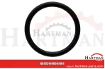 Oring pasuje do BE EVO 4440001066