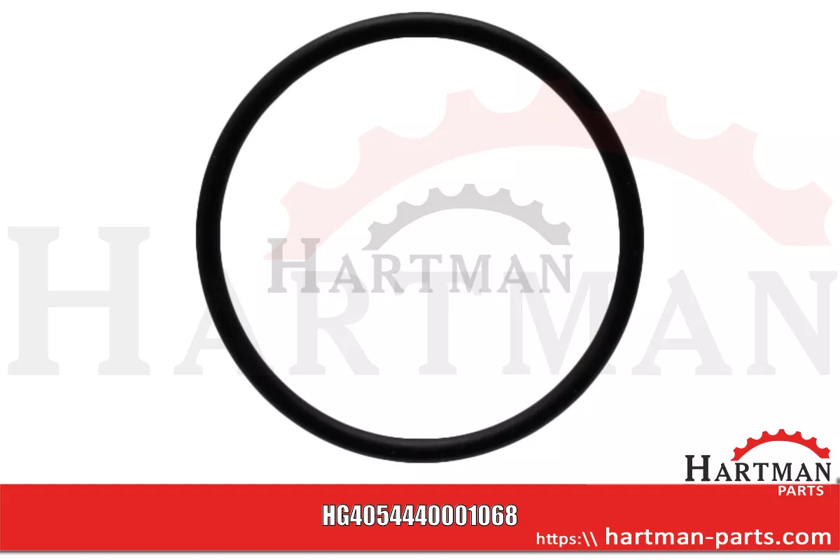Oring pasuje do BE EVO 4440001068