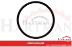 Oring pasuje do BE EVO 4440001068