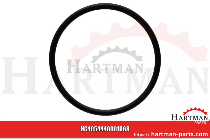 Oring pasuje do BE EVO 260 4440001070