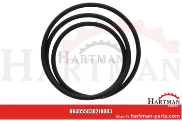 Oring 5030210003
