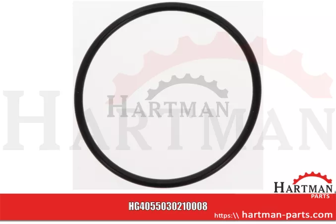Oring 5030210008