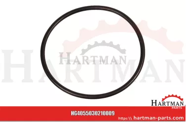 Oring 5030210009