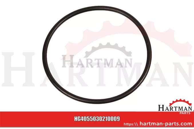 Oring 5030210009
