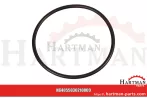 Oring 5030210009