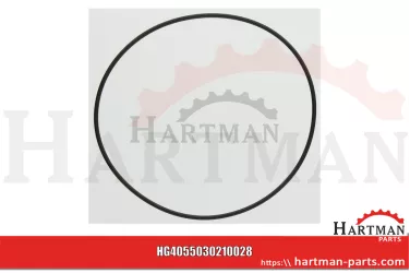 Oring 5030210028