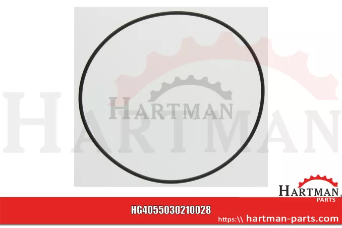 Oring 5030210028