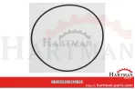 Oring 5030210028