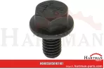 Śruba DM108, M6 x 10 5050107107