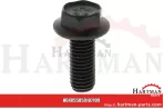Śruba DM116, M10 x 25 5050107109