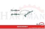Rozlewacz gnojowicy hydraulisch verstellbar + Höhenverstellung 6100300