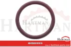 Gumowy pierścień uszczelniający HK 159 1070141, 107 0141