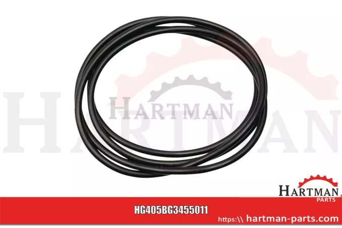Zestaw naprawczy - oring, obudowa spiralna do MAGNUM SX 1000 / 2000 34