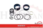 zestaw uszczelek Cylinder narzędziowy 0471310