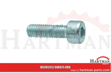 Śruba z łbem walcowym M10x25 DIN 912 72246, 48111