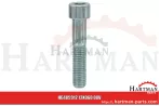 Śruba z łbem walcowym M12x60 DIN 912