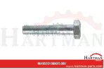 Śruba z łbem sześciokątnym M12x85 100379