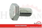 Śruba z łbem sześciokątnym M6x10 933006