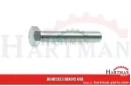 Śruba z łbem sześciokątnym M10x60 01111319, 088000931-1.380