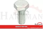Śruba z łbem sześciokątnym M12x25 100398