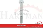 Śruba z łbem sześciokątnym M8 x 60 KG00353661, 00353661