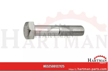 Śruba z łbem sześciokątnym M12 x 60 0010060