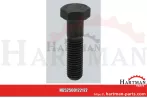 Śruba z łbem sześciokątnym M14 x 55 2121160, 0002121160