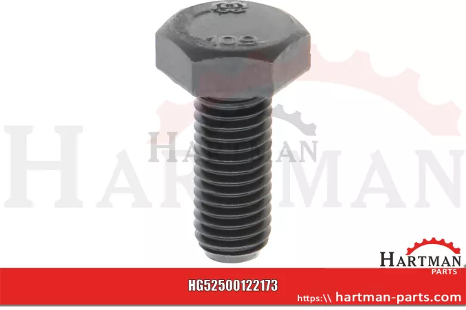 Śruba z łbem sześciokątnym M10 x 25 0002110320, 2110320